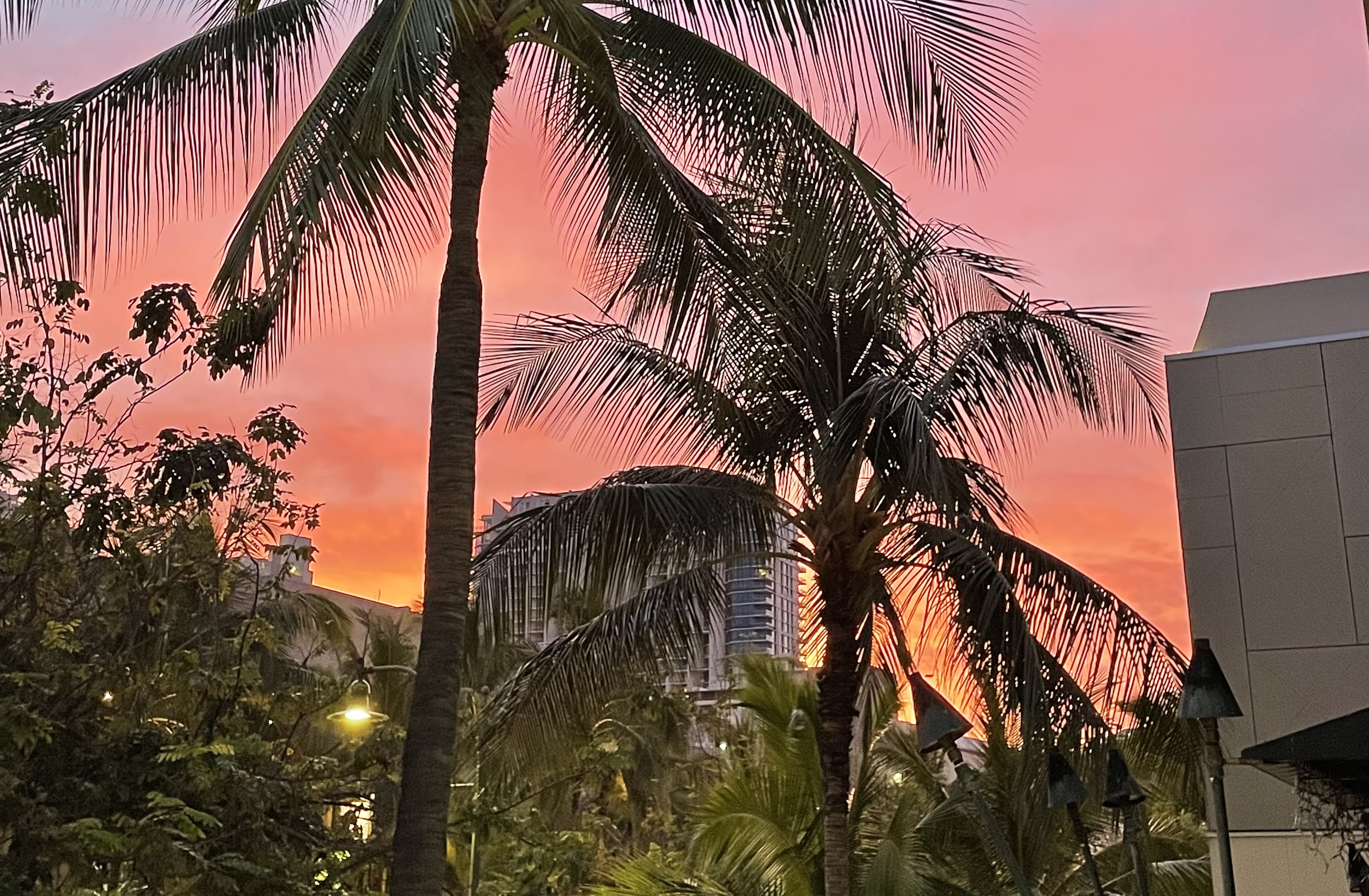 Honolulu, March 2022